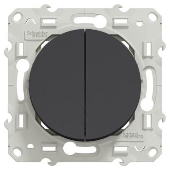  ODACE VV + POUS ANTH 