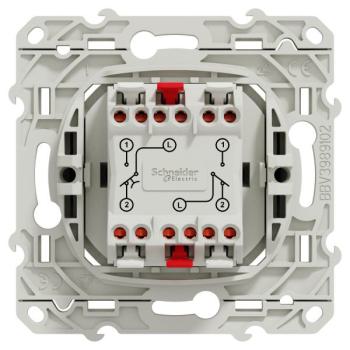  ODACE VV + POUS ANTH 