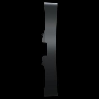  Enjoliveur anthracite 