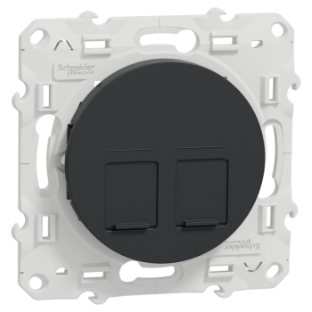  ODACE SUPPORT 2xRJ45 ANTH 