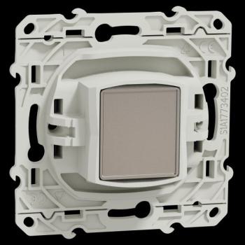  ODACE PRISE SAT ANTH VIS 