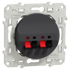  ODACE PRISE HP 2S ANTH 