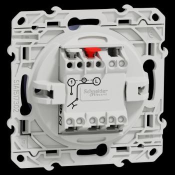  ODACE POUS LUM COB VIS 