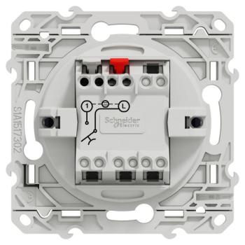  ODACE POUS LUM COB VIS 