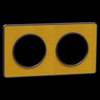  ODACE TCH KV PLQ OCR 2P71 