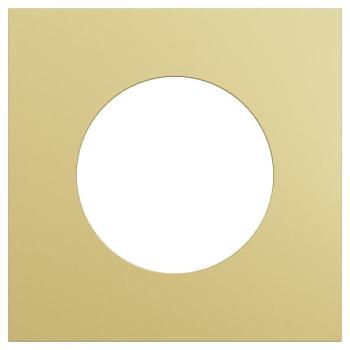  Odace M. plaque 1 poste laiton 