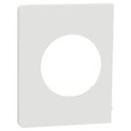  Odace Archi. plaque latrale b 