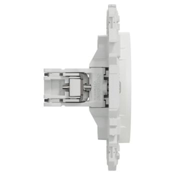  Odace obturateur blanc griffes 