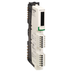  ANALOG- +10V OUT 2CHBASIC 