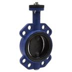  VANNE PAPILLON DN100 