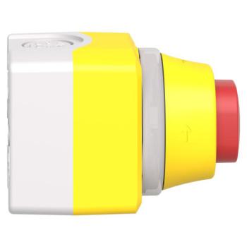  Boite ARU lum B/R 1O+1F 24V 