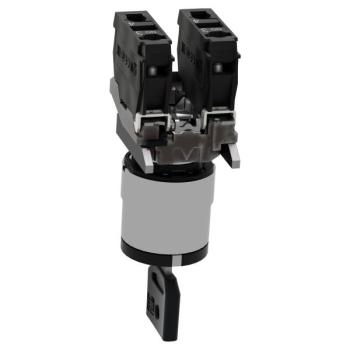  BOUTON TOURNANT NOIR DIAM 