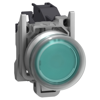  AEx BP AF CAPUCHONNE VERT 