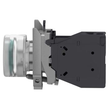  AEx BP AF CAPUCHONNE VERT 