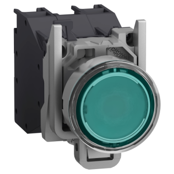  AEx BPL CAPUCHONNE VERT 2 