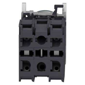  AEx BPL CAPUCHONNE VERT 2 