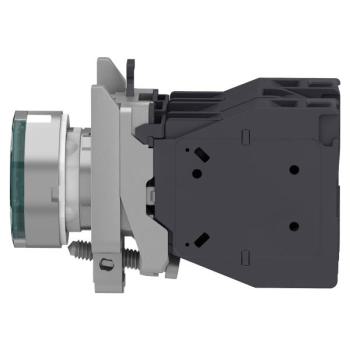  AEx BPL CAPUCHONNE VERT 2 