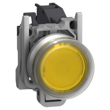  AEx BP AF CAPUCHONNE JAUN 