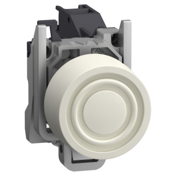  AEx BP AF CAPUCHON BLANC 