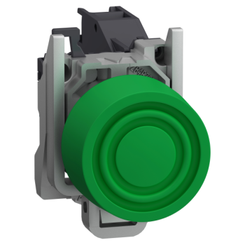  AEx BP AF CAPUCHON VERT I 