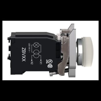  Voyant lumineux blanc 230V 