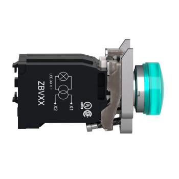  Voyant lumineux vert 230V 