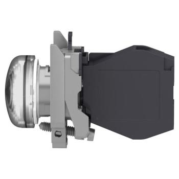  AEx VOYANT DEL BLANC 24 2 