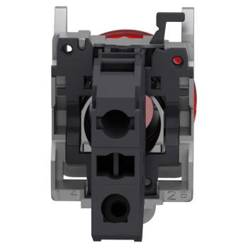  AEx VOYANT DEL ROUGE 24 2 