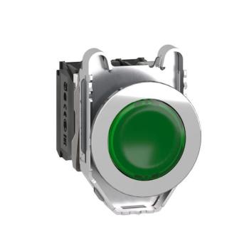  BP lum flush vert 1O+1F 110V 