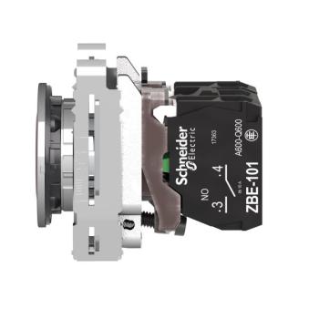  BP lum flush rouge 1O+1F 24V 