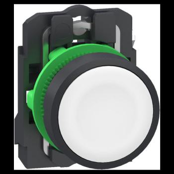  BP BLANC PUSH IN RAP RESS 1F 