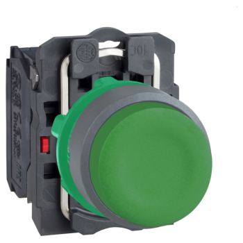  BP impuls vert capuchonn� 1F 