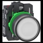  BP LUMINEUX BLANC PUSH IN 