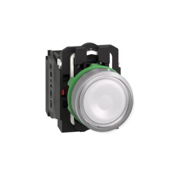  BP lumineux blanc 1O+1F 24V 