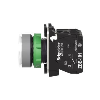  BP lumineux blanc 1O+1F 110V 