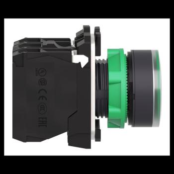  BOUTON POUSSOUR LUMINEUX, 