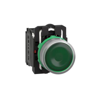  BP lumineux vert 1O+1F 24V 