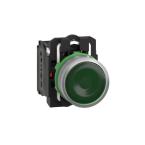  BP lumineux vert 1O+1F 110V 