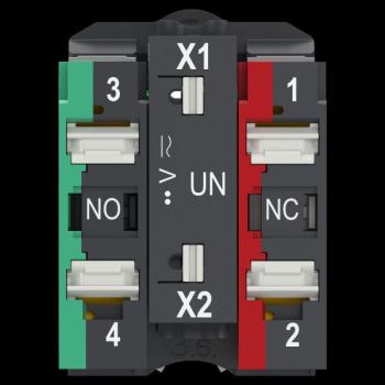  BP LUMINEUX ROUGE PUSH IN 