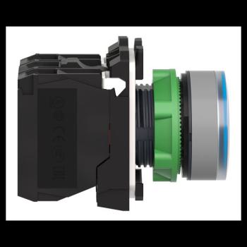  BP lumineux bleu 1O+1F 24V 