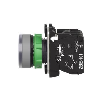  BP lumineux bleu 1O+1F 110V 