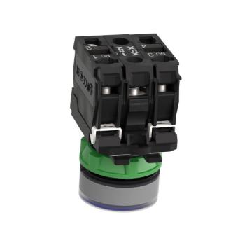  BP lumineux bleu 1O+1F 110V 