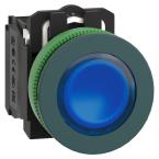  BP lum flush bleu 1O+1F 24V 