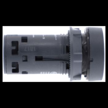  BP AFFL BLC 1NO NR MT 