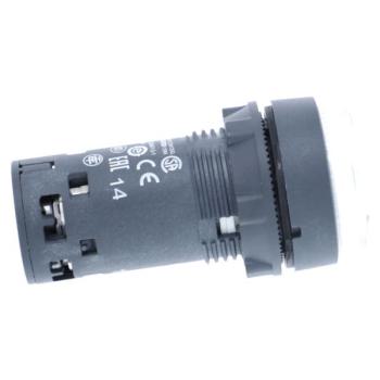  BP lum LED 1NO iclre 24V 