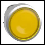  T�te bouton P P lumin affl O22 