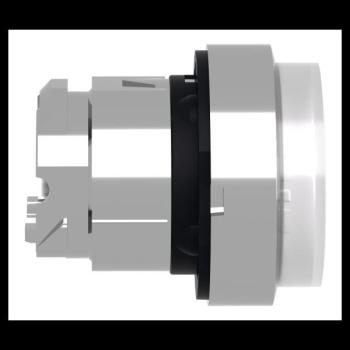  TETE POUSSER-POUSSER 