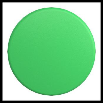  TETE POUSSOIR C. DE POING 