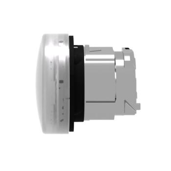  TETE VOYANT LUMINEUX 