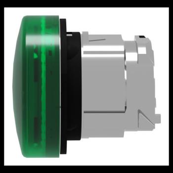  TETE VOYANT LUMINEUX 